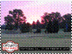 http://www.golfguide.com.ar/db/images/m190220/images/big/DSC00002.jpg